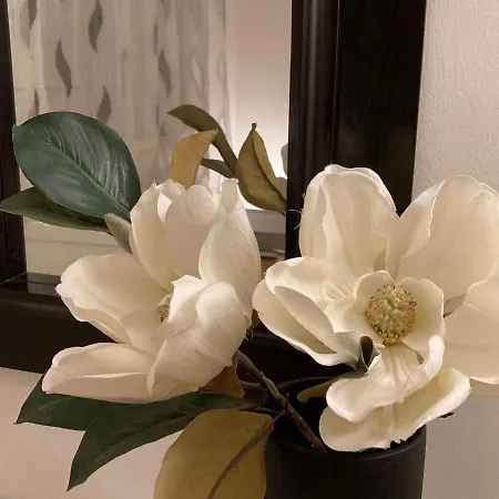 Giovigemini Τρεβίζο