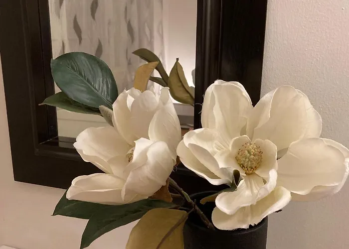 Giovigemini 特雷维索